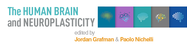 The Human Brain and Neuroplasticity